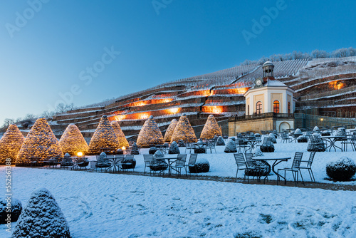 Weihnachtliche Stimmung im Park Schloss Wackerbarth, Radebeul