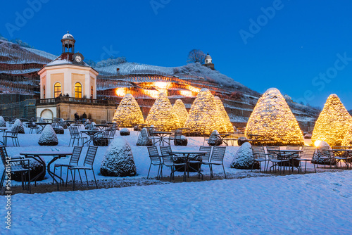 Weihnachtliche Stimmung im Park Schloss Wackerbarth, Radebeul
