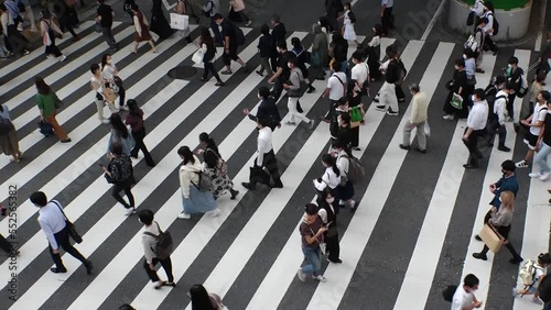 Wallpaper Mural OSAKA, JAPAN : Aerial high angle view of crowd of people walking at zebra crossing near Osaka station in daytime. Commuters at busy rush hour. Japanese lifestyle and business concept. Time lapse shot. Torontodigital.ca