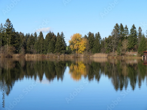 Bäume spiegeln sich im Wasser