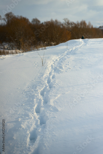  Footpath in a snowy meadow, on a cold winter day