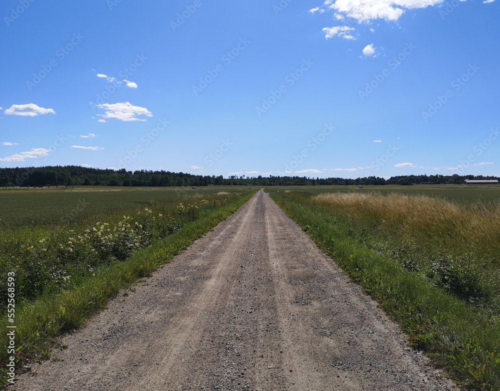 road in the field road in the field