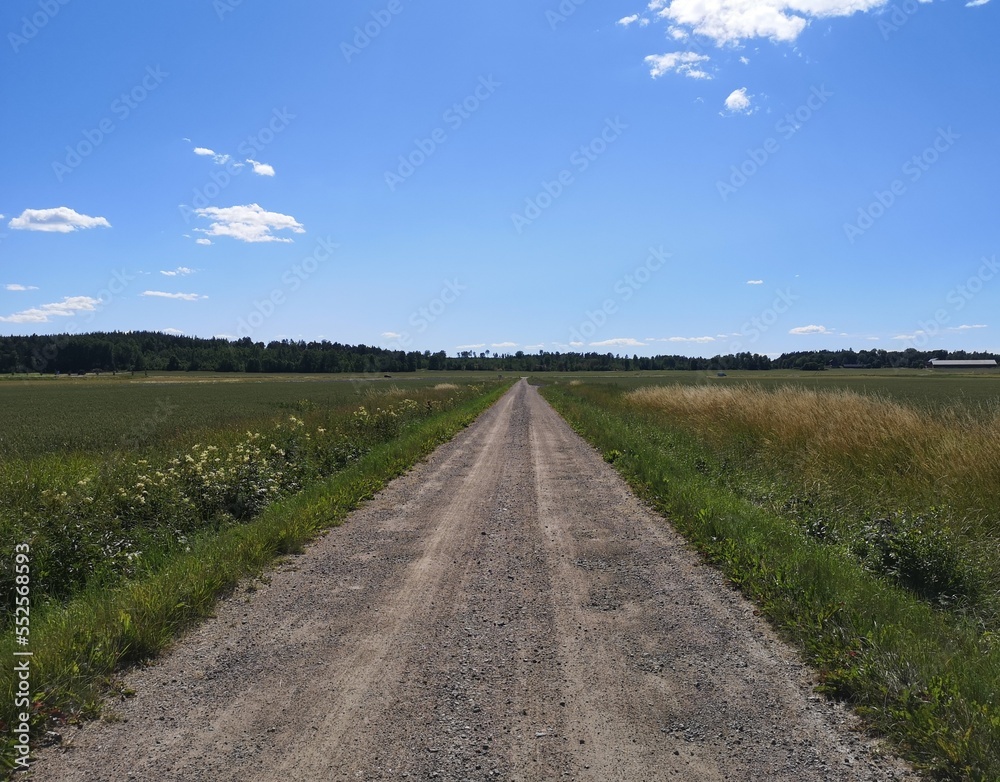 road in the field