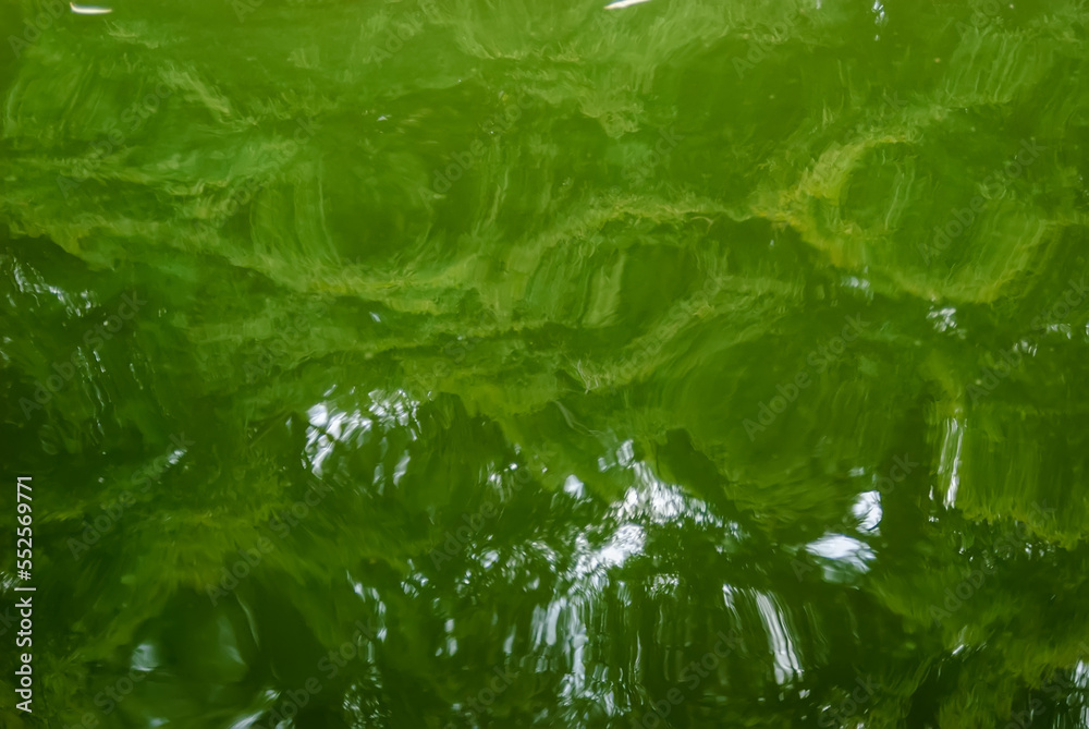 Abstract background of rippled water surface with distorted green trees reflections. Art top view of green water. Water splashed use for graphic design Abstract background of rippled water surface with distorted green trees reflections. Art top view of green water. Water splashed use for graphic design