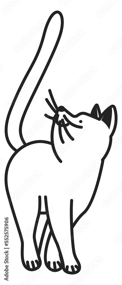 Fototapeta premium Cat icon. Funny pet black line symbol