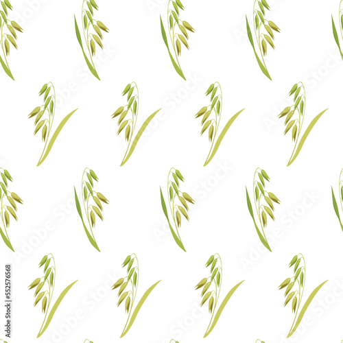 Botanical seamless background. Pattern of ears of oats on white background. Texture from cereal plants for design of kitchen tablecloths  baking packaging.