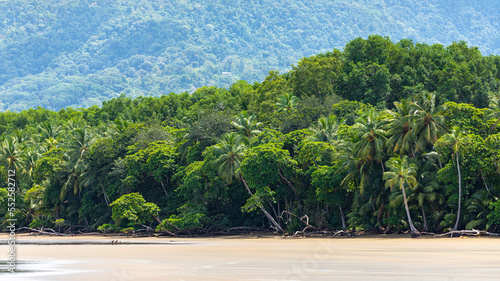 panorama of a tropical beach with palm trees in marino ballena national park in costa rica; relaxing on a paradise beach in costa rica, beach with cloudy mountains in background