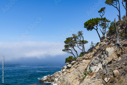 Monterey cypress trees line granite cliffs above the sea and fog at Point Lobos, Carmel, California
