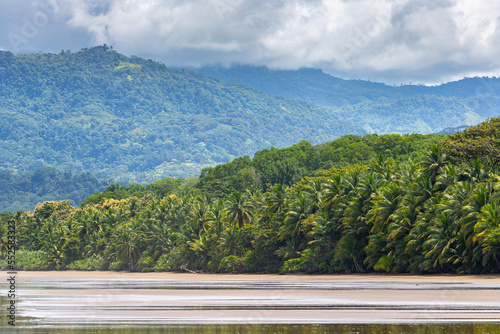 panorama of a tropical beach with palm trees in marino ballena national park in costa rica; relaxing on a paradise beach in costa rica, beach with cloudy mountains in background