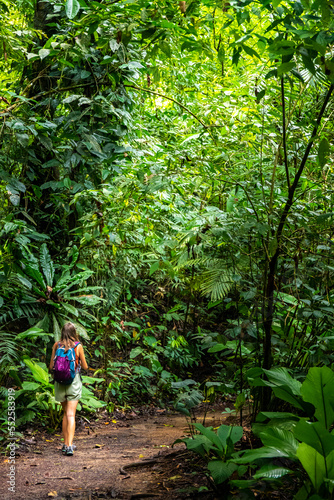 Backpacker girl walks through dense rainforest in Golfito National Wildlife Refuge; walking through wild tropical forest in Costa Rica