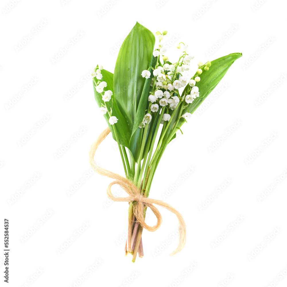 Bouquet of white flowers lilies of the valley isolated in PNG isolated on transparent background