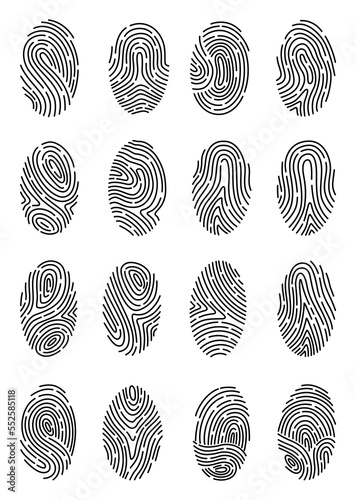 Fingerprint identification collection. Scan fingerprint, security or identification system concepts. Biometric data design. Security system based on thumb lines, illustration