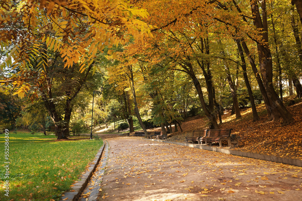 Naklejka premium Pathway, benches, fallen leaves and trees in beautiful park on autumn day