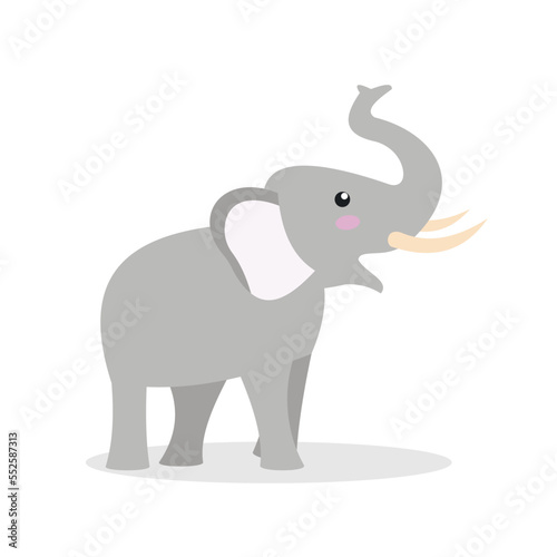 baby elephant on a white background