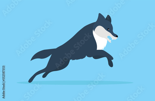 Gray wolf in a jump - illustration