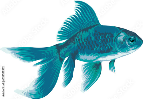 Pisces zodiac sign. zodiac water sign