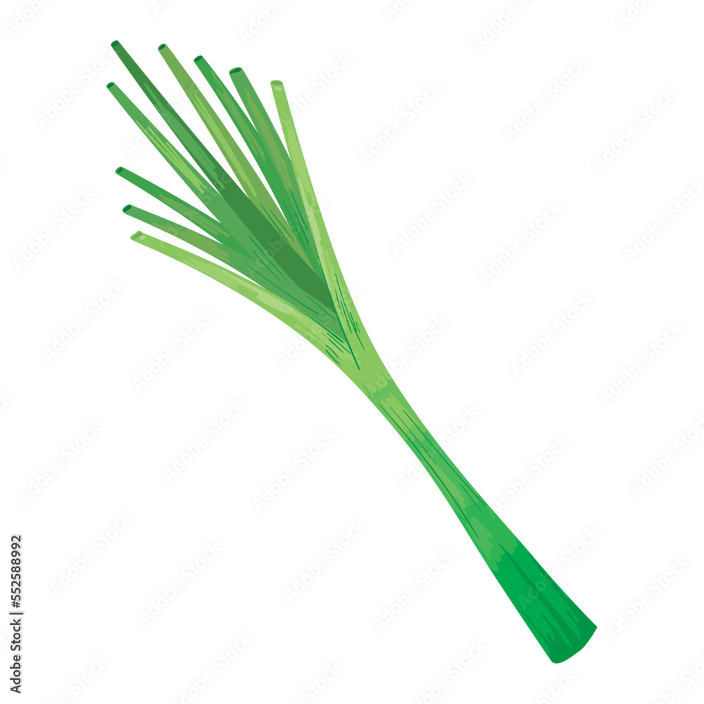 fresh celery vegetable fresh celery vegetable