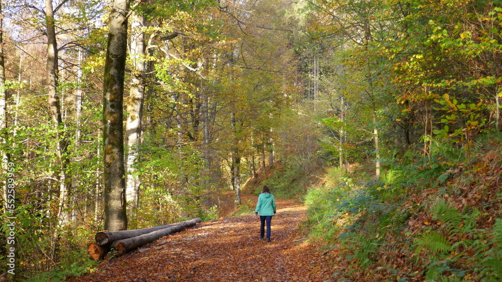 Spaziergängerin in einem bunten, strahlendem Herbstwald