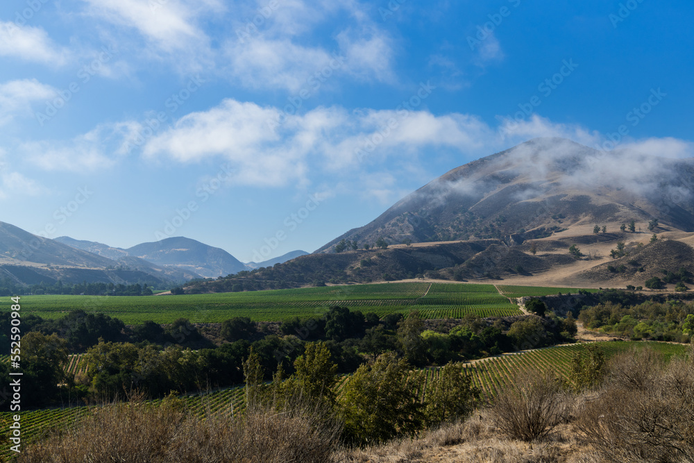 Vineyards, mountains, and clearing fog in Salinas Valley, California