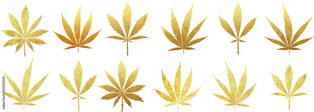 Big set of PNG transparent golden cannabis leaves - indica, sativa and ruderalis cut out of gold foil Big set of PNG transparent golden cannabis leaves - indica, sativa and ruderalis cut out of gold foil