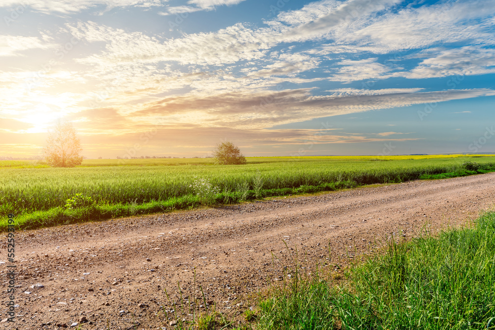 Country road and green wheat fields natural scenery at sunrise