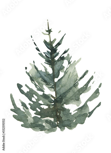 Watercolor Christmas tree clipart. 
