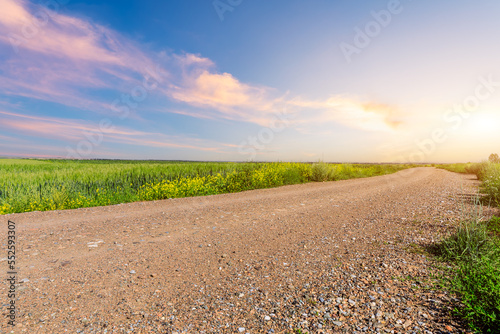Country road and green wheat fields natural scenery at sunset photo