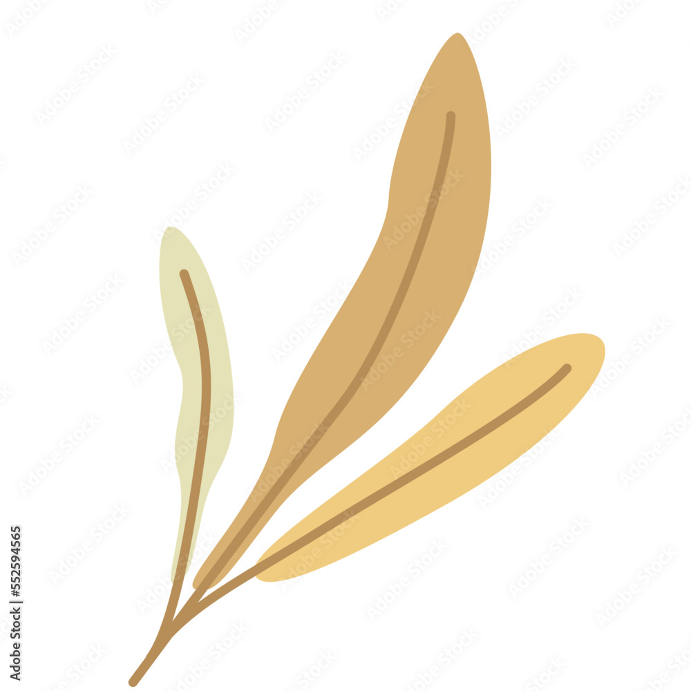 hand drawn shapes and floral design elements. Exotic jungle leaves. Abstract contemporary modern trendy illustrations element icon hand drawn shapes and floral design elements. Exotic jungle leaves. Abstract contemporary modern trendy illustrations element icon