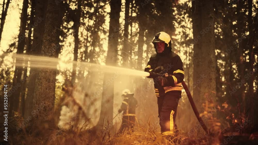 Firemen Rescuing Portrait of a Handsome Professional Firefighter Methodically ...