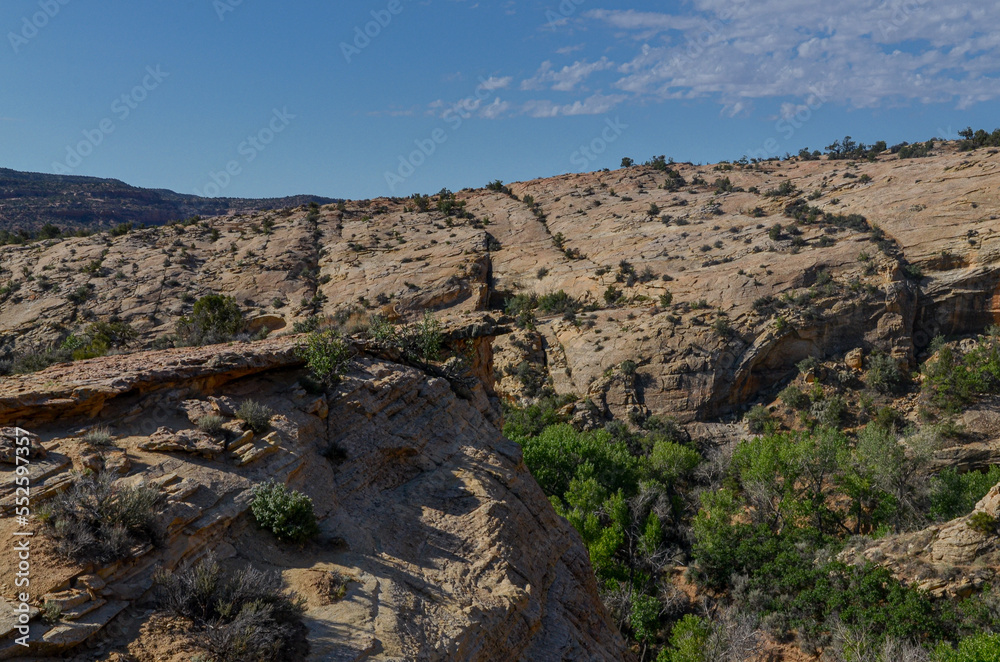 canyon scenic view from Butler Wash ruin trail (San Juan county, Utah)