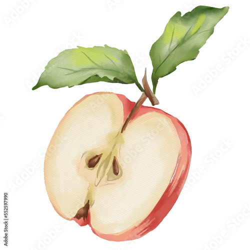 Watercolor food illustration of apple fruit