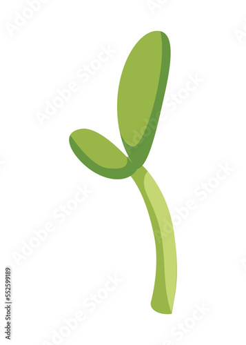 Sunflower growth stage, small sprout. Agriculture plant development. Harvest animation progression phase