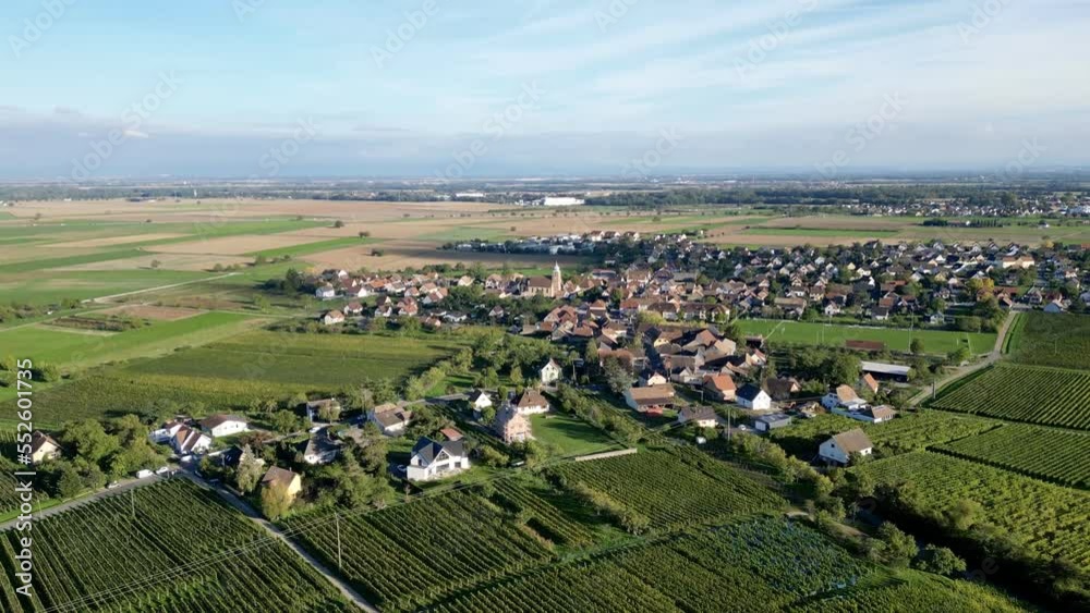 Panoramic aerial drone top view of the rural village of Bergholtz (Upper-Rhine, France) in summer day, between vineyards and fields of the Alsace plain, with houses, right travelling movement Panoramic aerial drone top view of the rural village of Bergholtz (Upper-Rhine, France) in summer day, between vineyards and fields of the Alsace plain, with houses, right travelling movement