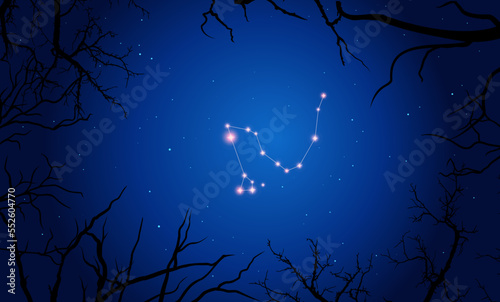 Vector illustration of constellation Dracoon the background of a starry sky and tree branches. Constellation scheme collection