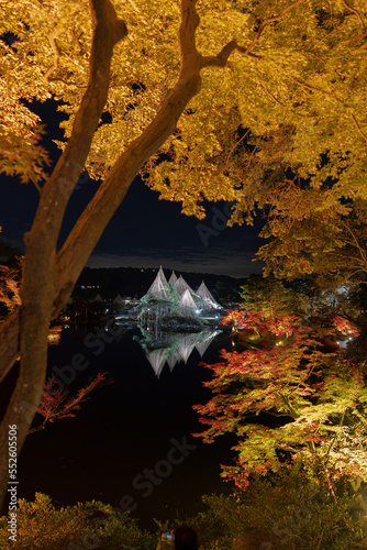 日本庭園　夜景