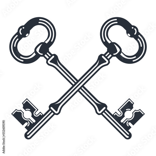 Two crossed vintage keys, heraldic symbol of secret, old delicate keys, vector