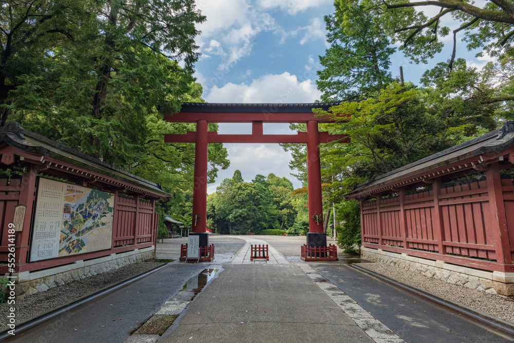 Obraz premium 武蔵国一宮 氷川神社 参道風景