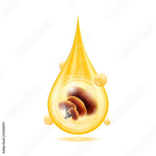 Reishi mushroom in golden water drop and Vitamins collagen serum orange shining with oxygen bubbles. Isolated on white background. Premium grade health food supplement. 3D Realistic vector Eps10.