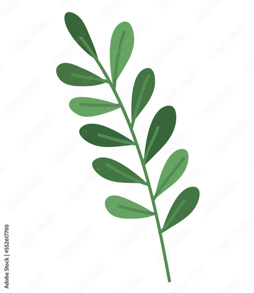 branch with leafs branch with leafs