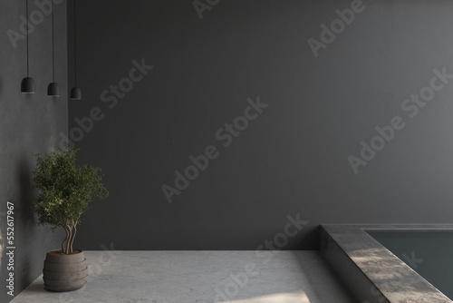 Empty room with black walls  white concrete floor and soft skylight from window  pool  simple minimalist interior architecture background with copy-space  3d illustration