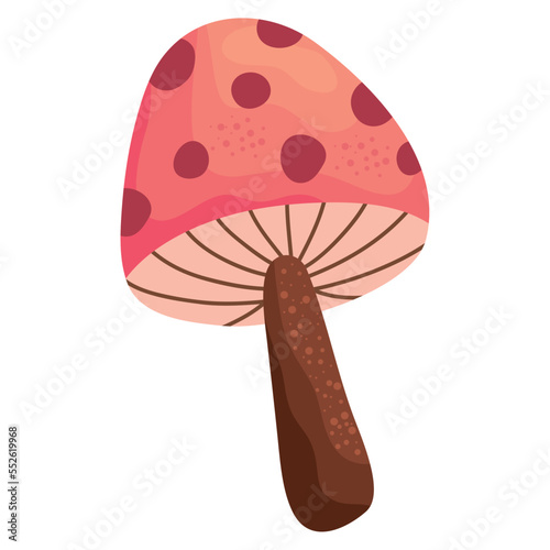 fungus plant boho style