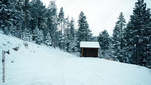 Small winter cabin on the side of a snow covered slope in Rocky Mountains, Colorado - blue green red white tinted travel vibes © Rachel