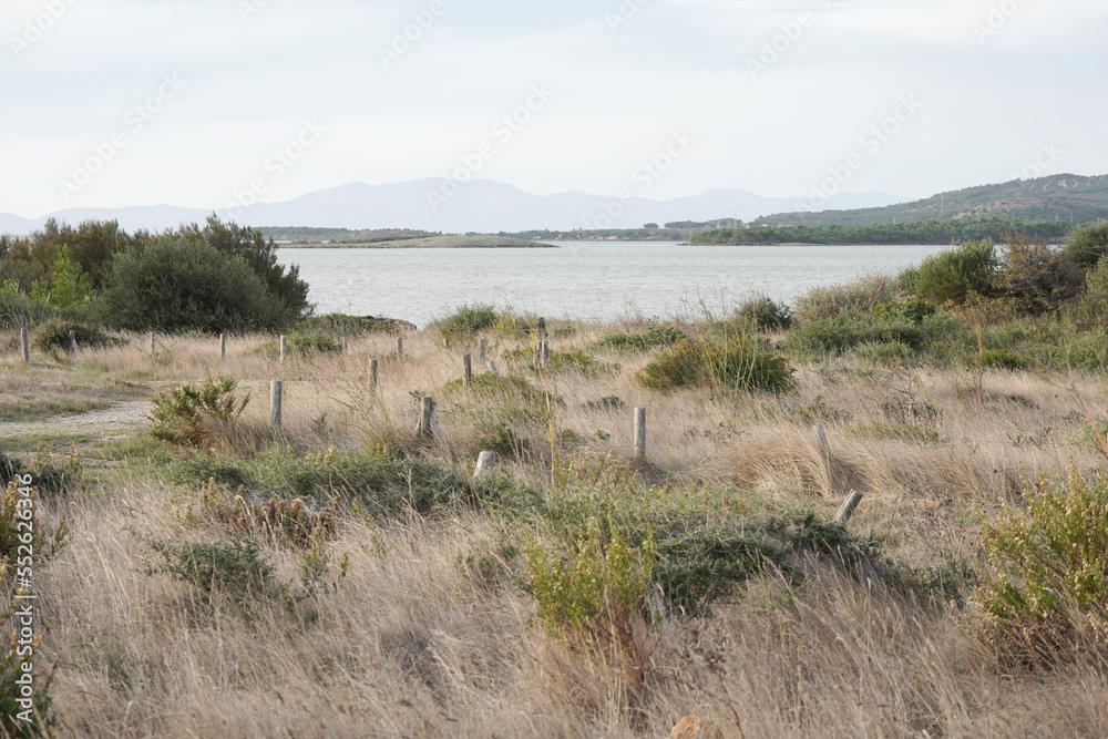 Lake landscape with mountains at sunrise. Lake of Leucate, Languedoc-Roussillon, France. 
Between the departments of Pyrénées-Orientales and Aude in Occitania. Regional natural park of Narbonnaise.