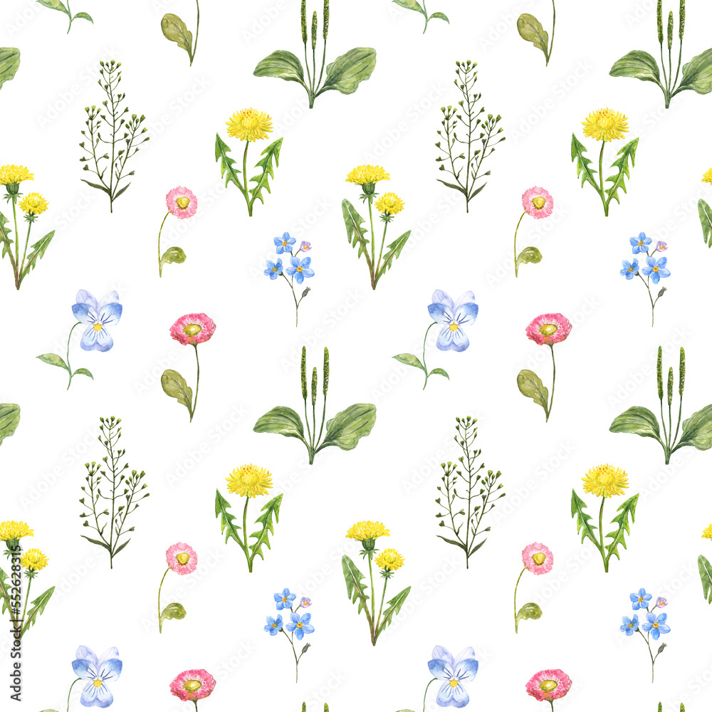 A watercolor floral seamless pattern featuring yellow dandelion, pink daisy, and blue forget-me-not. Botanical wallpaper on white background.