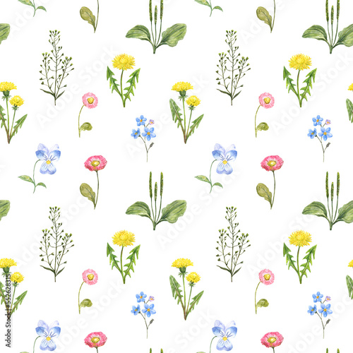 A watercolor floral seamless pattern featuring yellow dandelion  pink daisy  and blue forget-me-not. Botanical wallpaper on white background.