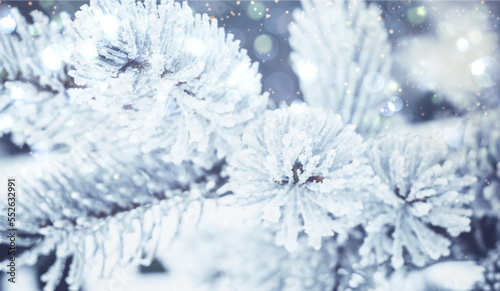 Winter Christmas snowy fir tree background. Snow pine tree branches with bokeh. Winter or Christmas web panoramic banner with copy space. © irissca