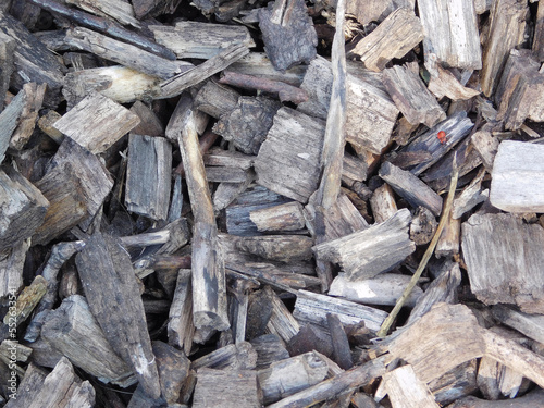 Top view on wood chips.