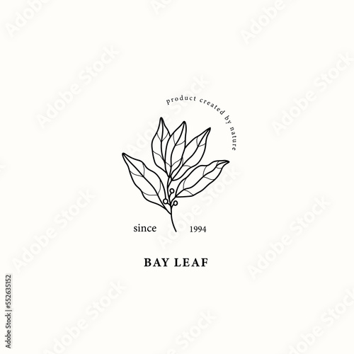 Line art laurel bay branch illustration