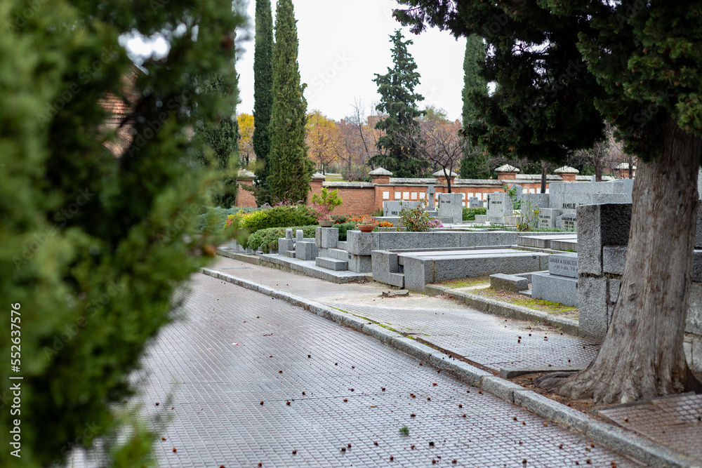 Graveyard. Cemenetery. Gray and white graves next to some pine trees. Terrifying concept. Scary place. Madrid, in Spain, Photography.
