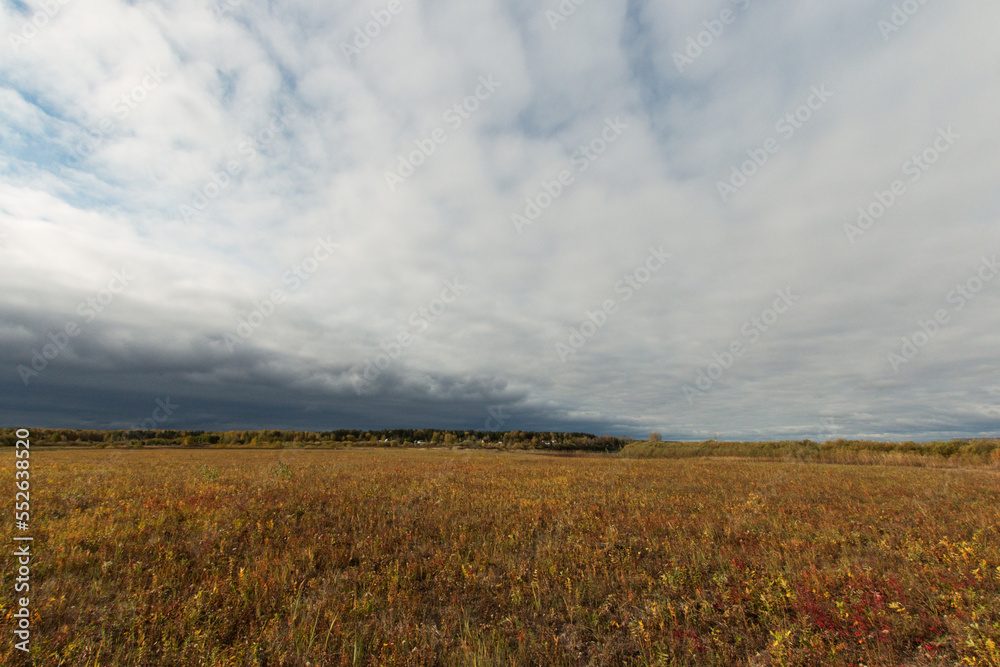 Autumn landscape. Above a field with red grass, a sky with white clouds. A front of cold, gray clouds with snow is approaching. In the background is a forest and a residential area. Countryside.